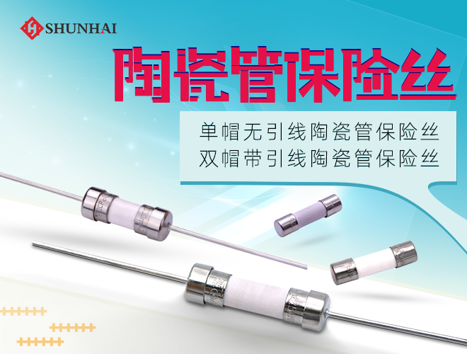 TSC slow-breaking fuse