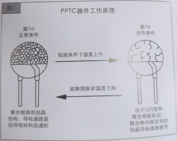 自恢复保险丝参数_自恢复保险丝基本特性